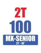 MX 100