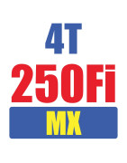 MX 250Fi 4T TWIN