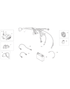 FAISCEAU POUR DEMARREUR