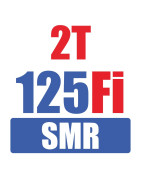 2T 125 FI SMR