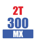 2T MX 300 ES